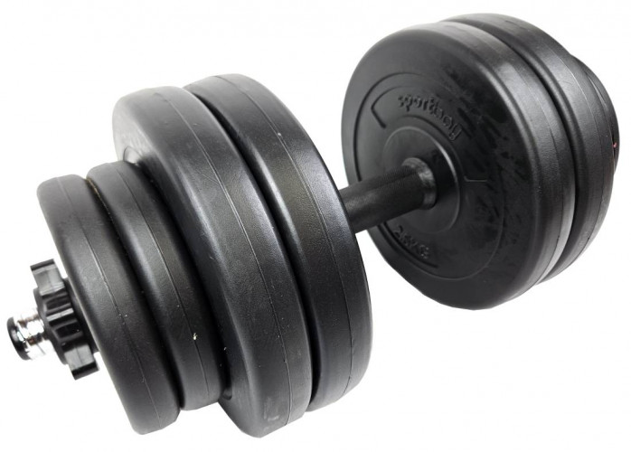 Hantelių rinkinys SPORTBAY 2 x 15 kg