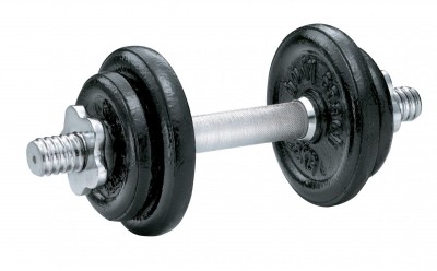 Ketaus Hantelis SPORTBAY 10Kg